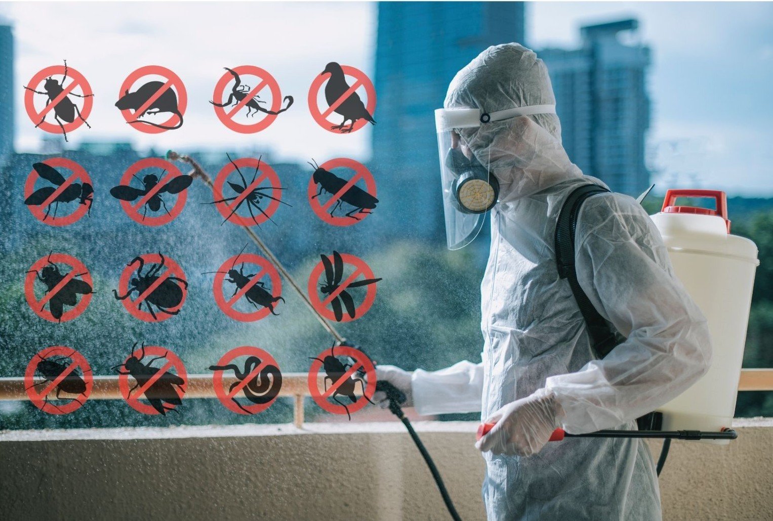 general pest prevention treatment in progress